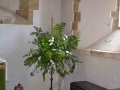 1_Big-Green-Week-036