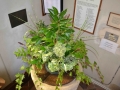 Big-Green-Week-041