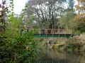 Black Bridge Nov 2016 004
