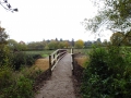 Black Bridge Nov 2016 008