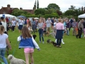 Fete 2017 040