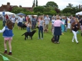 Fete 2017 041