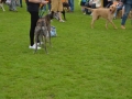 Fete 2017 044