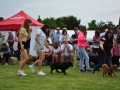 Fete 2018 Mark Allen 041