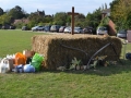 Harvest-Festival-2020-011