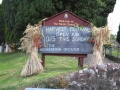 Harvest-Festival-2020-018
