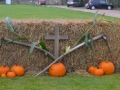 Harvest-Festival-Sept-2021-003