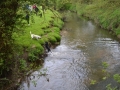 Rogation Walk 2013 008