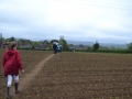 Rogation Walk 2013 019