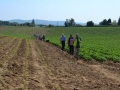 Rogation Walk 2014 002