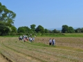 Rogation Walk 2014 012
