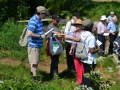 Rogation Walk 2014 026