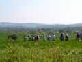 Rogation Walk 2014 029