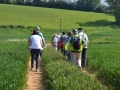 Rogation Walk 2014 030