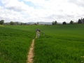 Rogation Walk 2015 007.jpg