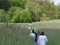 Rogation Walk May 2016 003