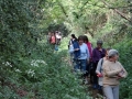 Rogation Walk May 2016 008