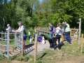 Rogation Walk 2017 017