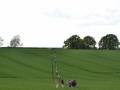 Rogation Walk 2018 025.jpg