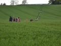 Rogation Walk 2018 027.jpg