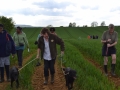 Rogation Walk 2018 028.jpg
