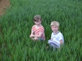 Rogation Walk 2018 029.jpg