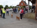 Rogation-Walk-May-2019-003
