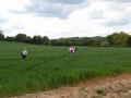 Rogation-Walk-May-2019-016