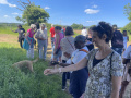 Rogation-Walk-2024-010