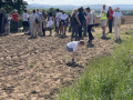 Rogation-Walk-2024-014